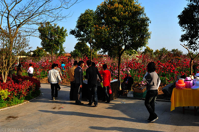 d7003 144.jpg
