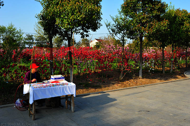 d7003 147.jpg