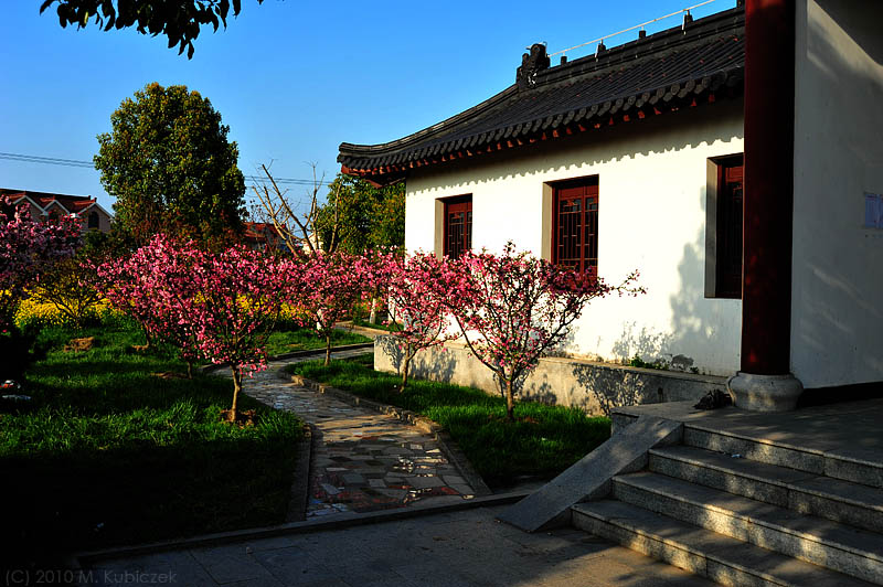 d7003 150.jpg