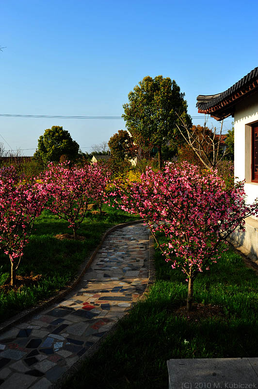 d7003 152.jpg