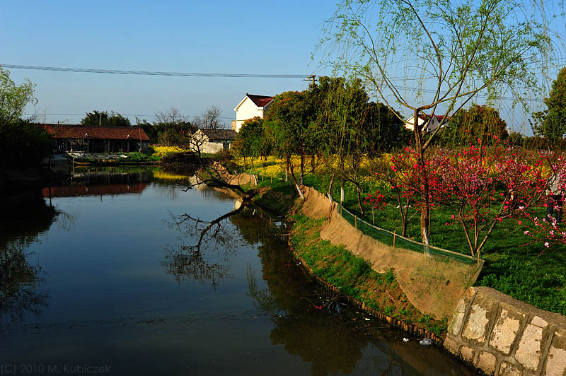 d7003 153.jpg