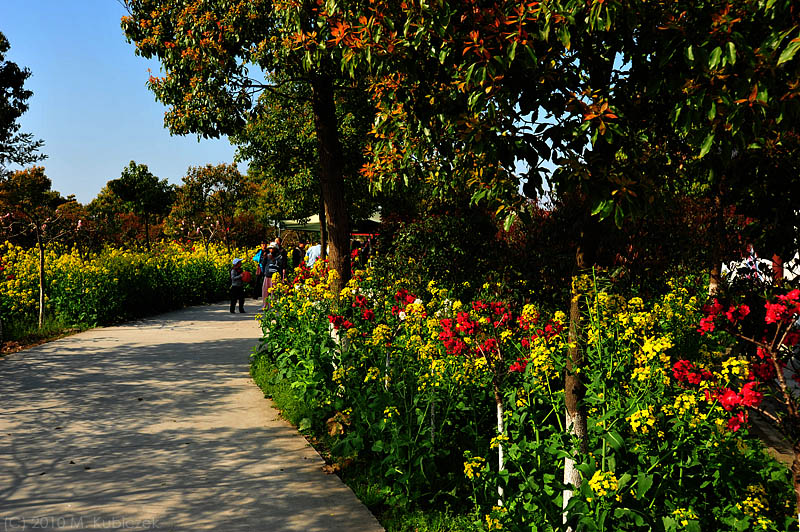 d7003 072.jpg
