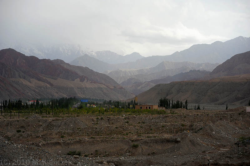 d7013 290.jpg