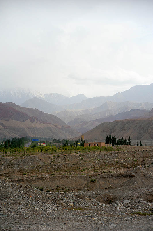 d7013 291.jpg
