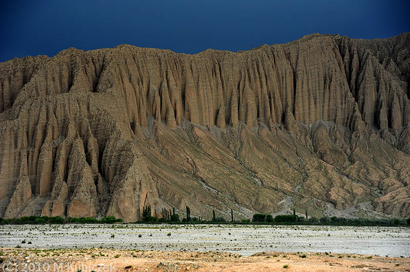 d7013 297.jpg