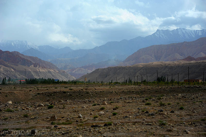 d7013 298.jpg