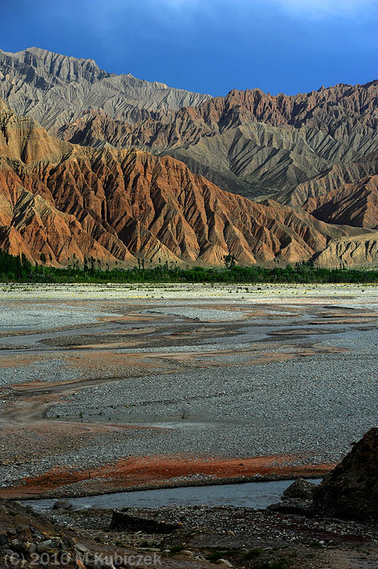 d7013 308.jpg