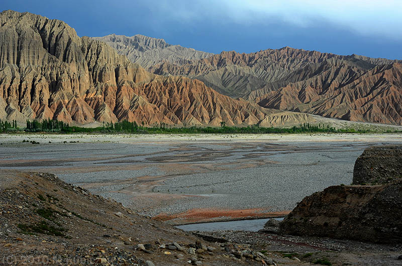 d7013 309.jpg