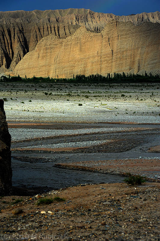d7013 313.jpg