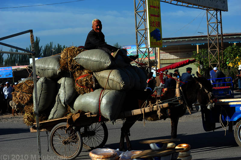 d7013 383.jpg