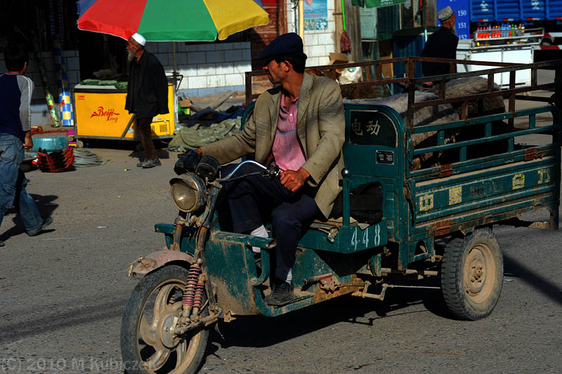 d7013 386.jpg