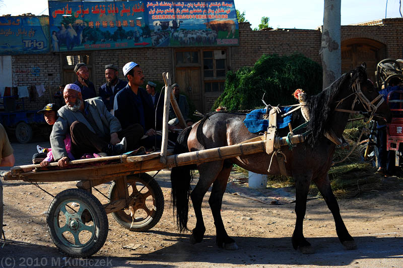 d7013 400.jpg