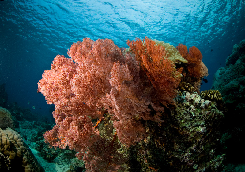 Lombok-7.jpg