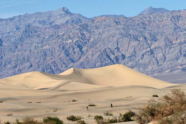 Sand dunes on Mesquite Flat
