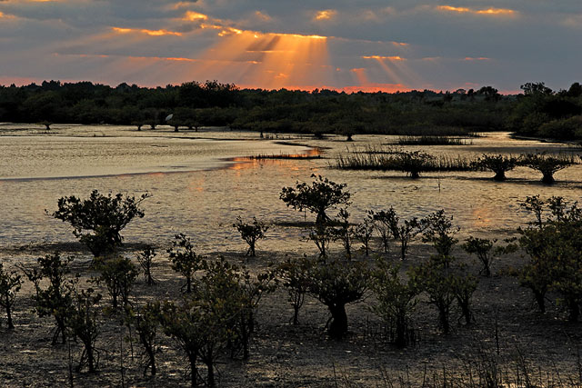 Sunset on the Merritt Island NWR