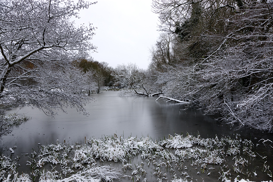 Hanworth Village Pond