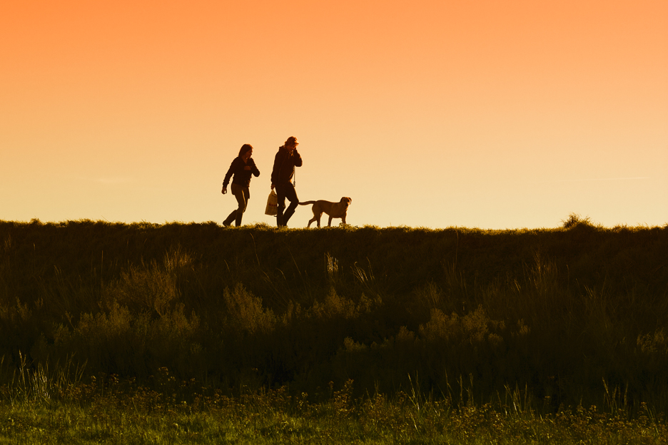 A Walk at Sunset