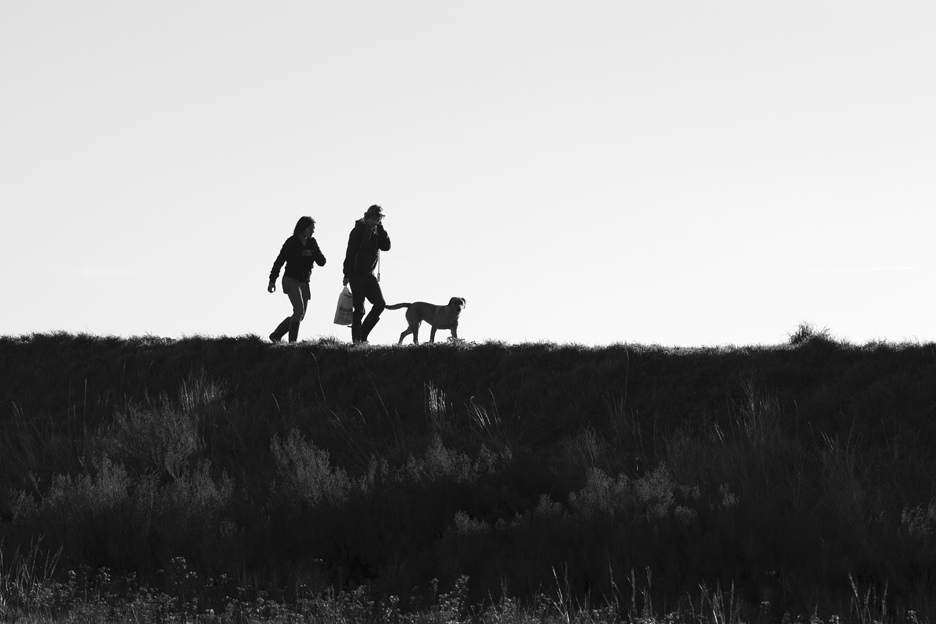 Walking the Sea Wall