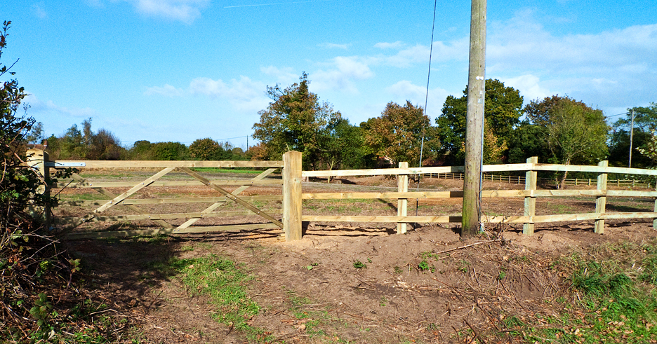 Vehicular Entrance Gate In New Fence