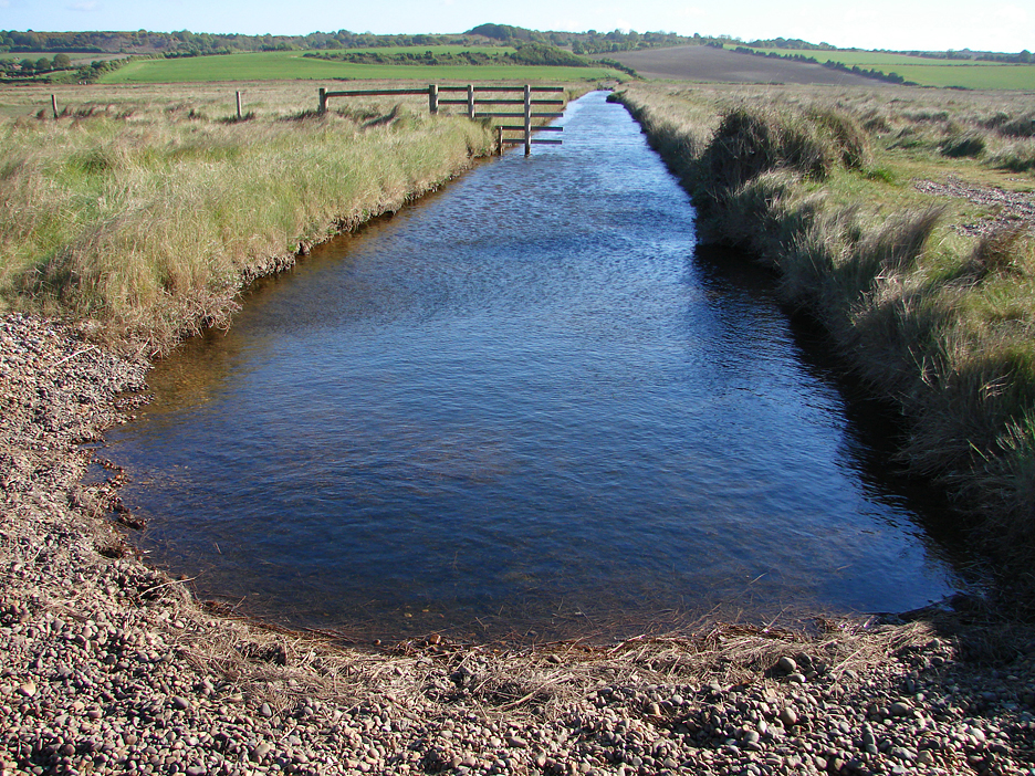 Salthouse Marsh