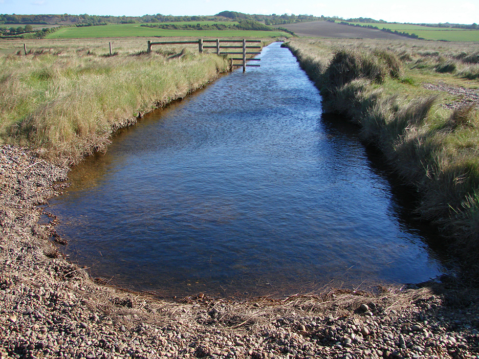 Salthouse Marsh