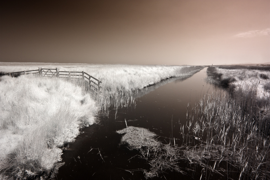 Salthouse Marsh