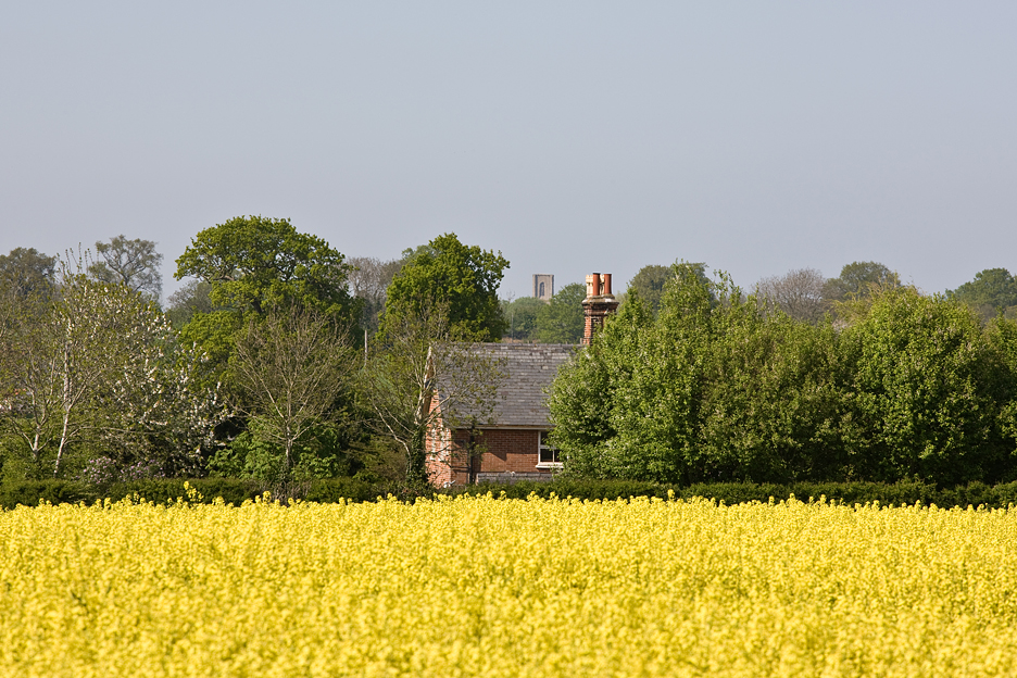 Remote Cottage