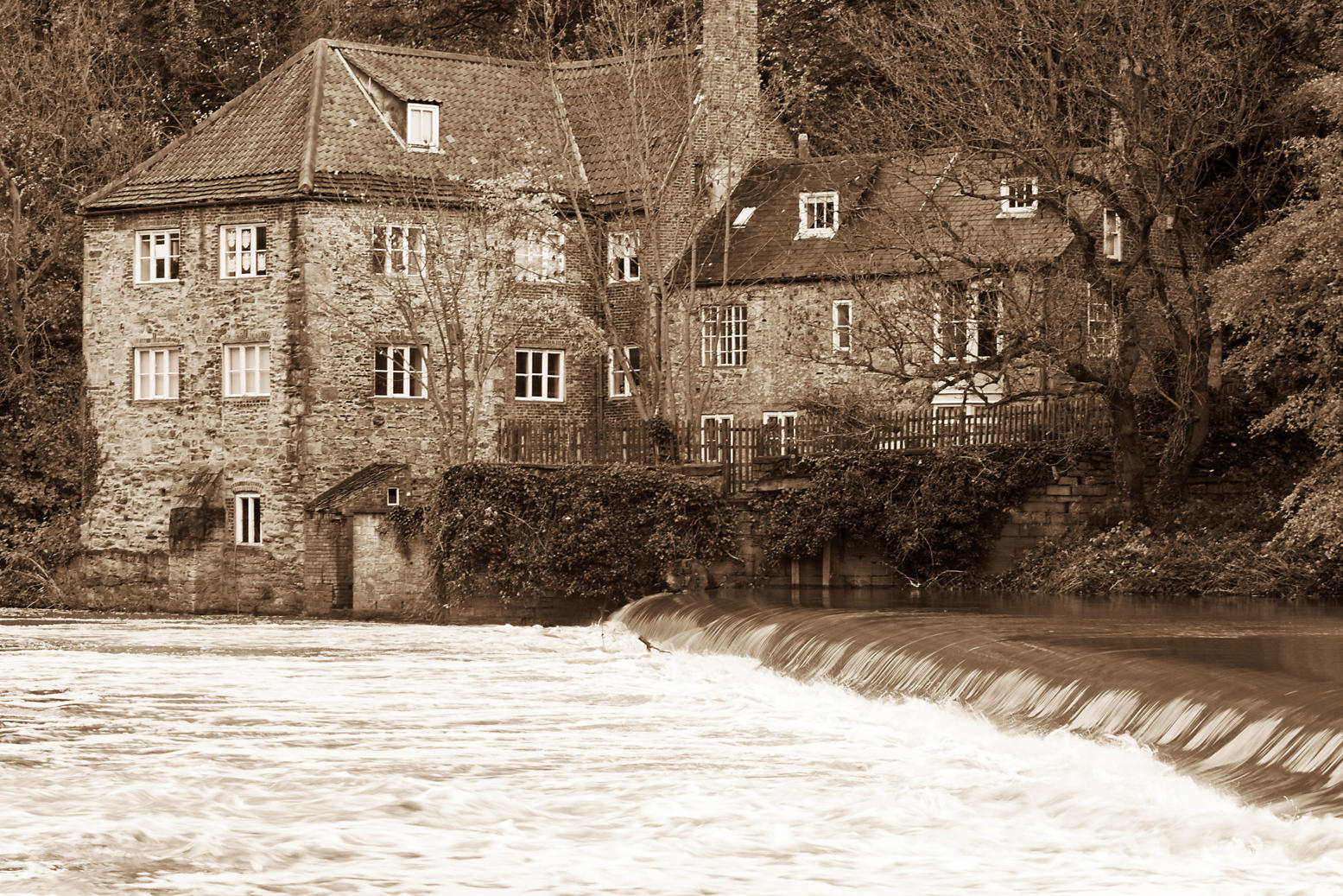9 November - The river