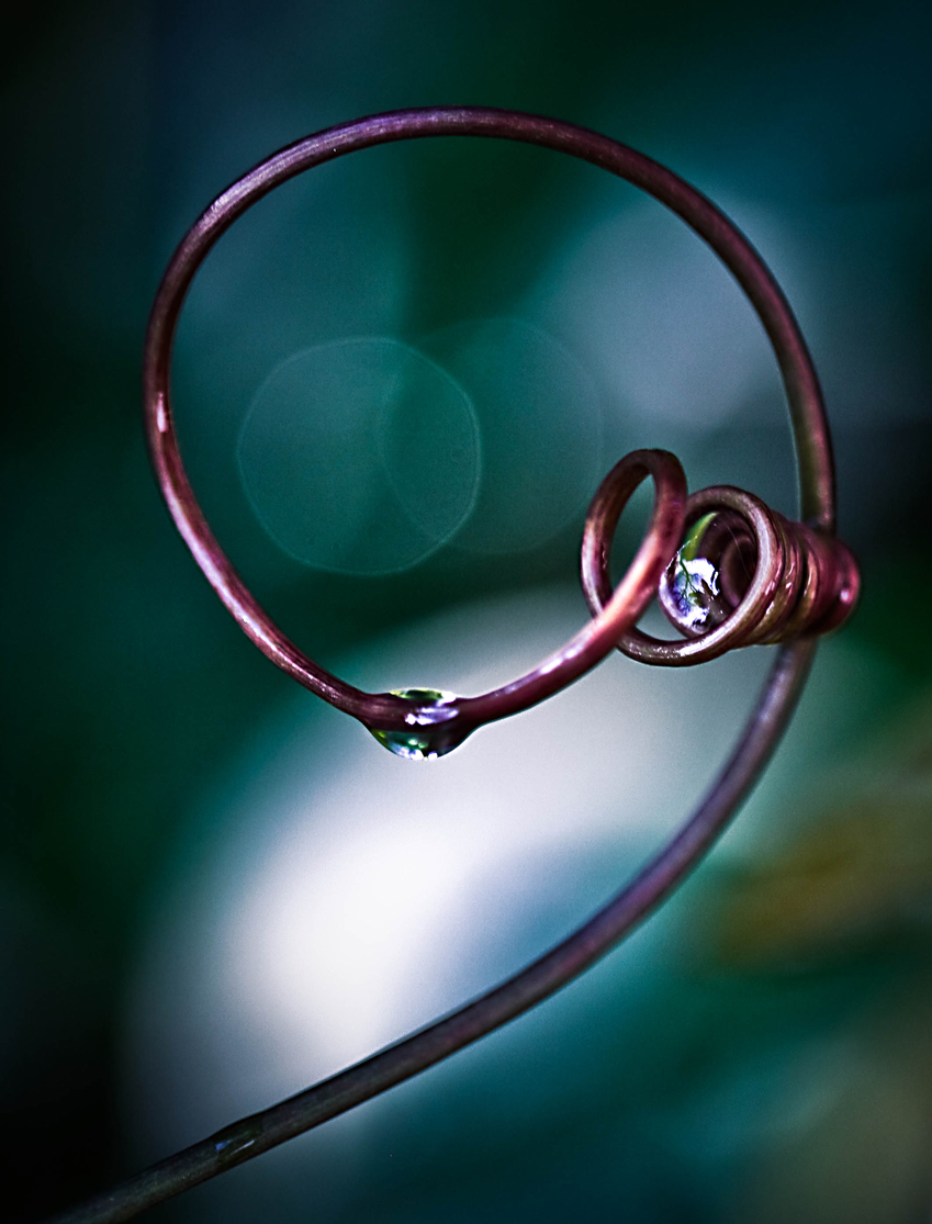 4 December - Drip Drop...