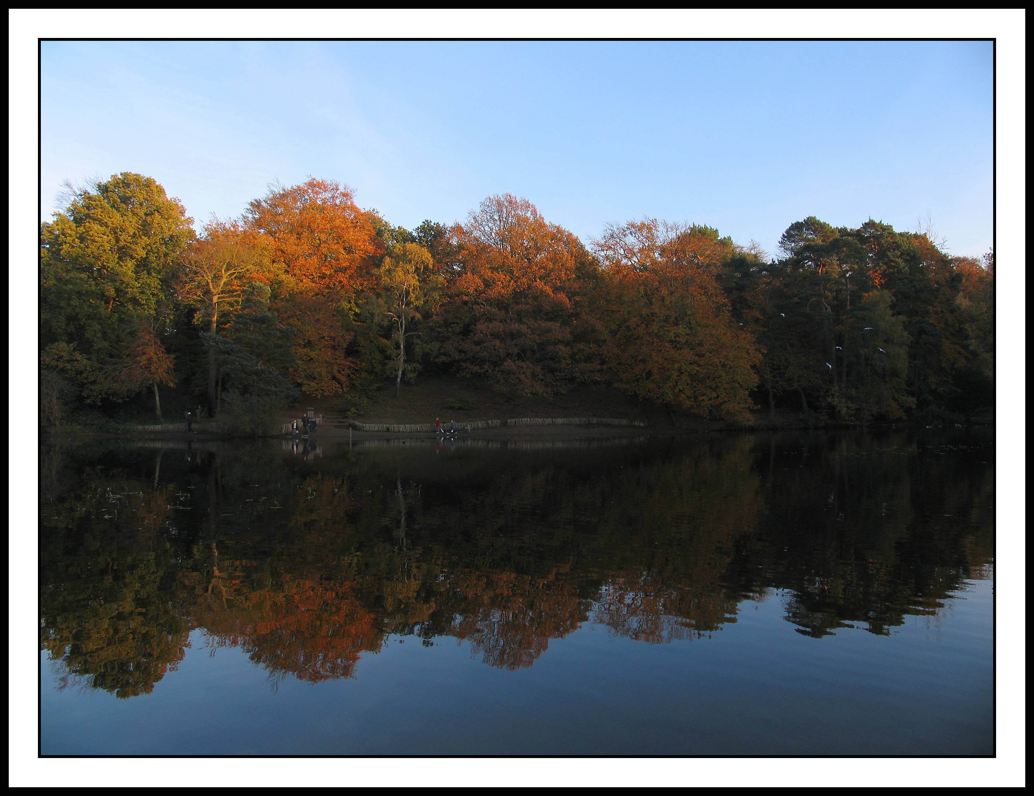 more reflections