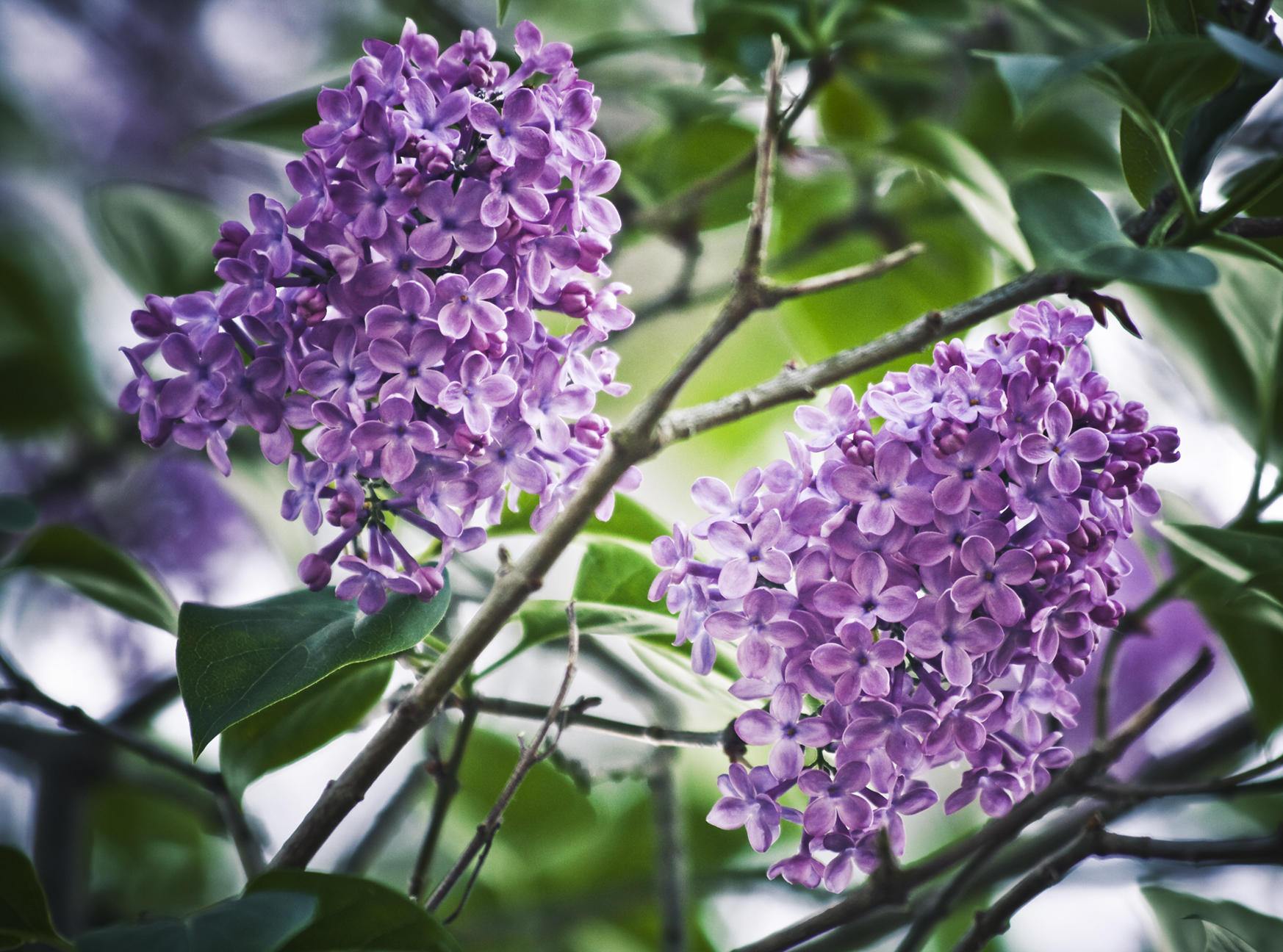 10 May - Scratch & sniff!