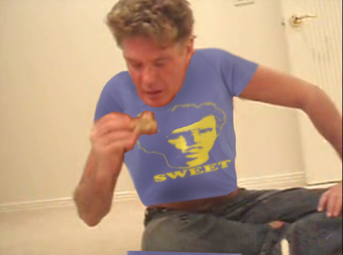 Hasselhoff.jpg