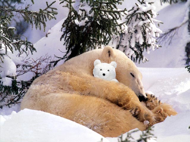 Cuddles.jpg