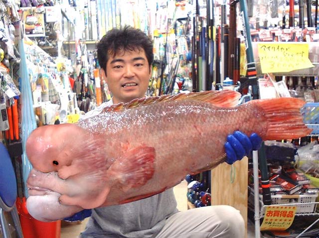 Fishy.jpg