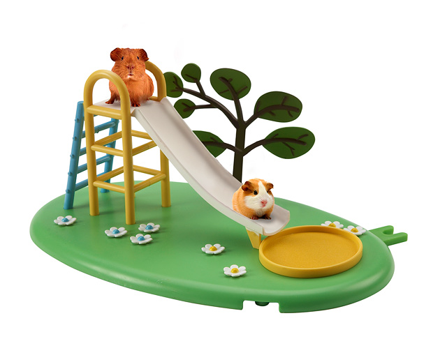 Guinea-Slide.jpg
