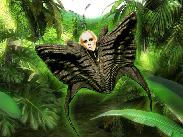 Butterfluke.jpg
