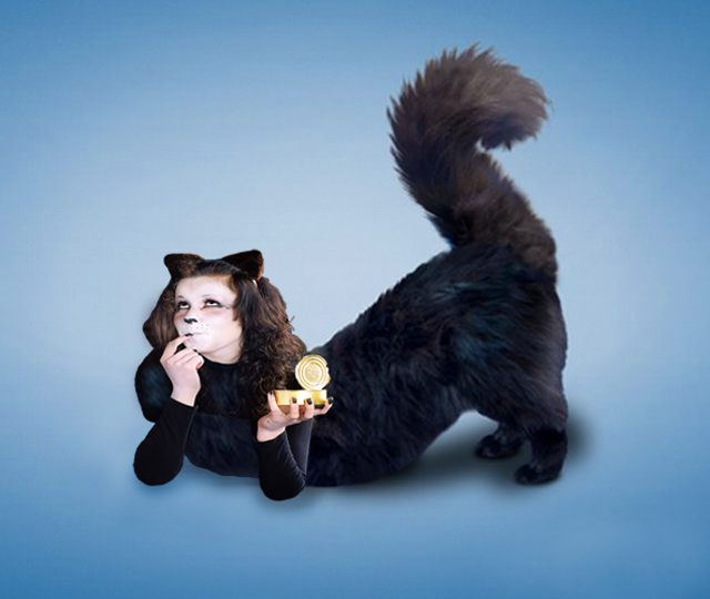 Meoow-Mix.jpg