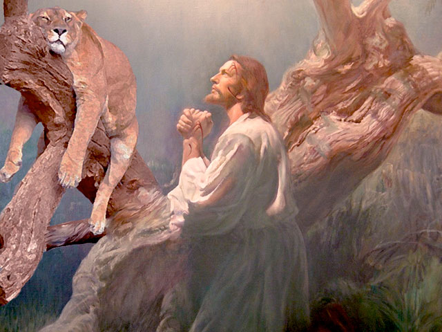 Hard-Prayers.jpg
