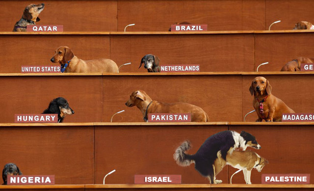 Dogdom.jpg