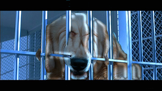 Polly-Alloy-Pup.jpg