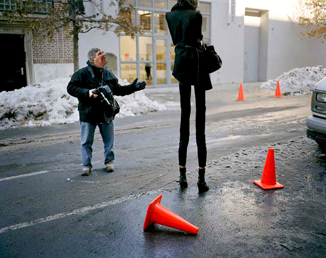 Stilt-Zilla.jpg
