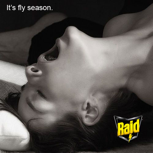 Fly-season.jpg