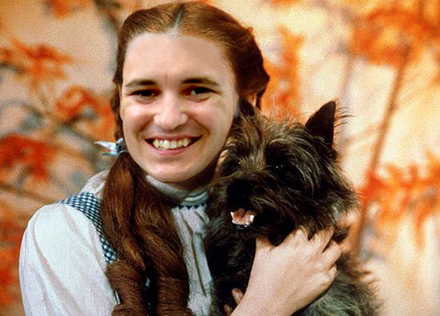 Wheaton-of-Oz.jpg