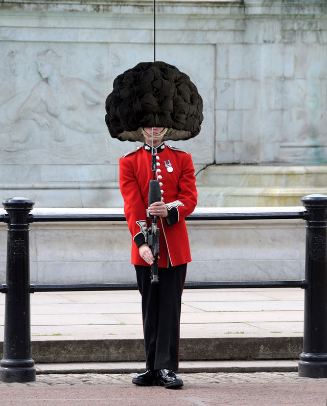 New-Hat.jpg