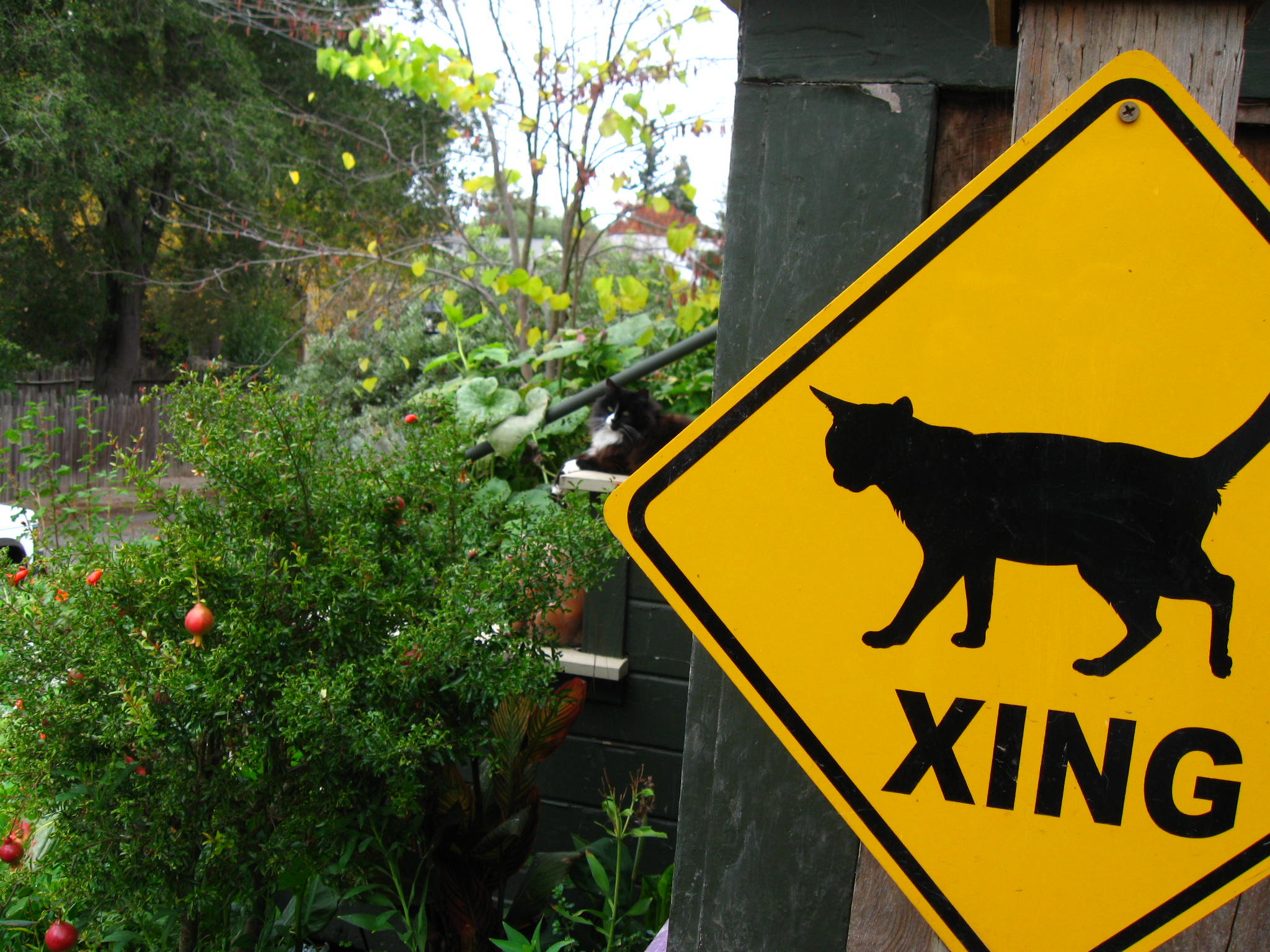 Sign.JPG