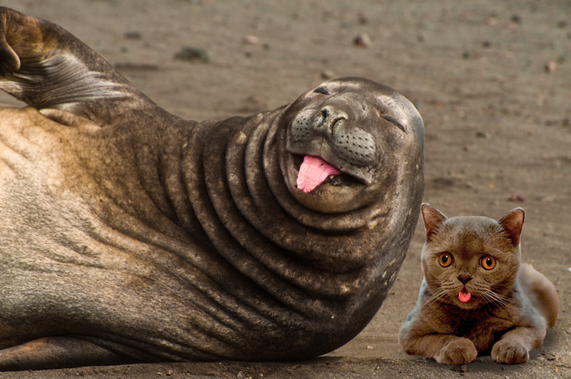Buds.jpg