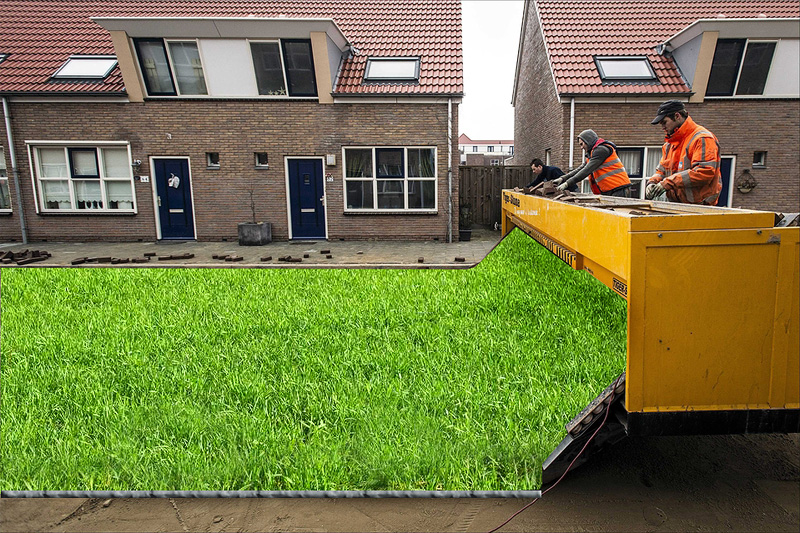 Auto-Grass.jpg