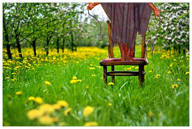 Meadow-Ghraib.jpg