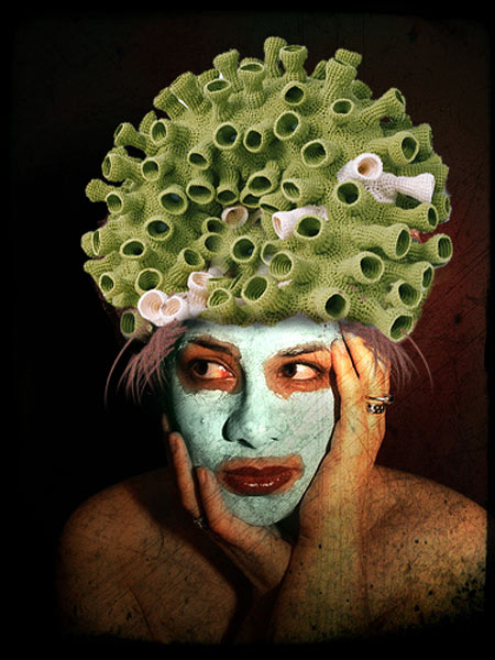 Beauty-Reviled.jpg