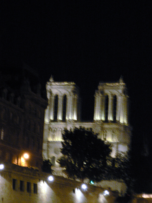 Notre Dame at night